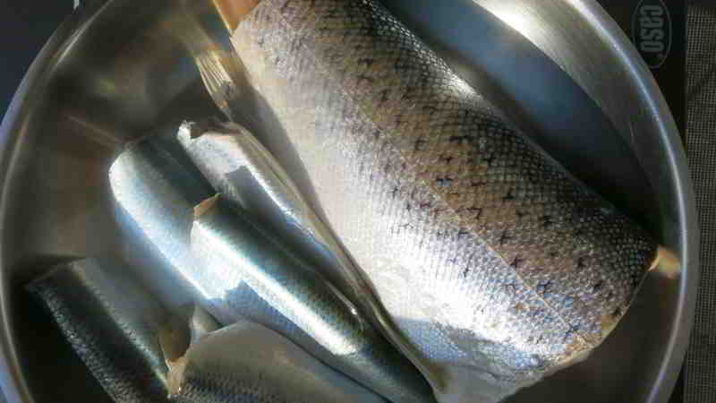 3 Angler brachten Meerforelle und Heringe Ende 9/2025 in diese Pfanne