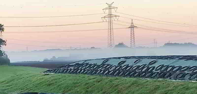 © Ostseefan Fast gespenstisch sehen die realen Gewächse durch den Dunst aus: Raureif