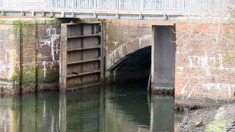 Die Entwässerung des Kanals im Bereich Kiel Holtenau als Noteingang und Notausgang für Heringe