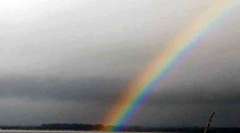 © Günni 28.10.2025 Regenbogen bei der Jagd nach Meer- und  Rainbowtrout