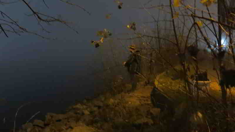 26.11.2025: Köhler ist bei der Jagd auf Zander ein Teil der Natur