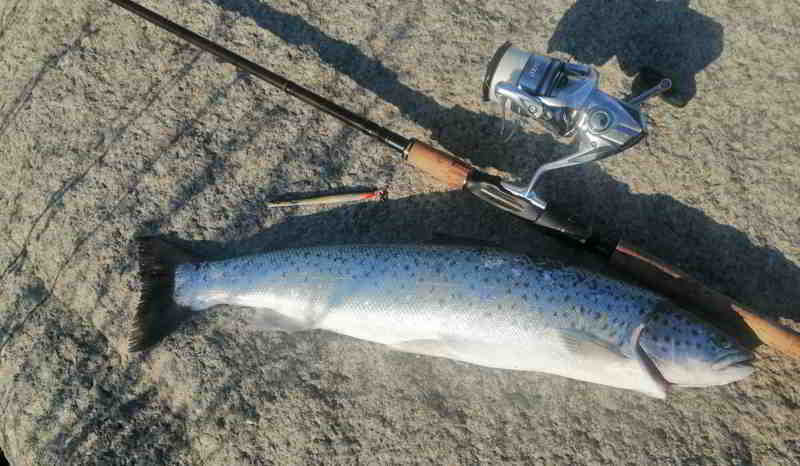 &copy; Kielläär <q>Beweis</q>foto zur Fangmeldung seiner Mefo vom 01.12.2025