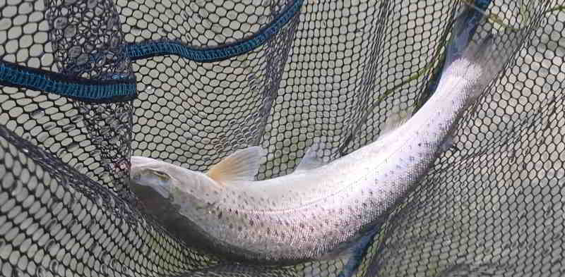 &copy; Günni Das Jahr ist noch nicht vorbei. Mefo vom 29.12.2025