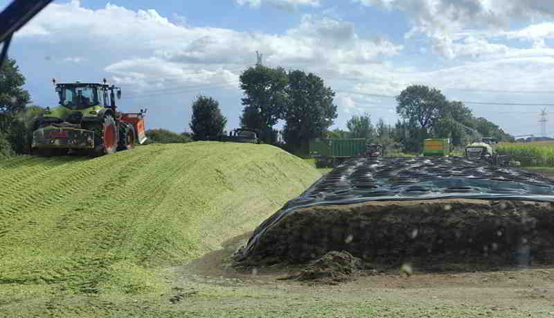 © Ostseefan Voll in der Schikane bei der Maisernte - <q>John Deere Cup</q>