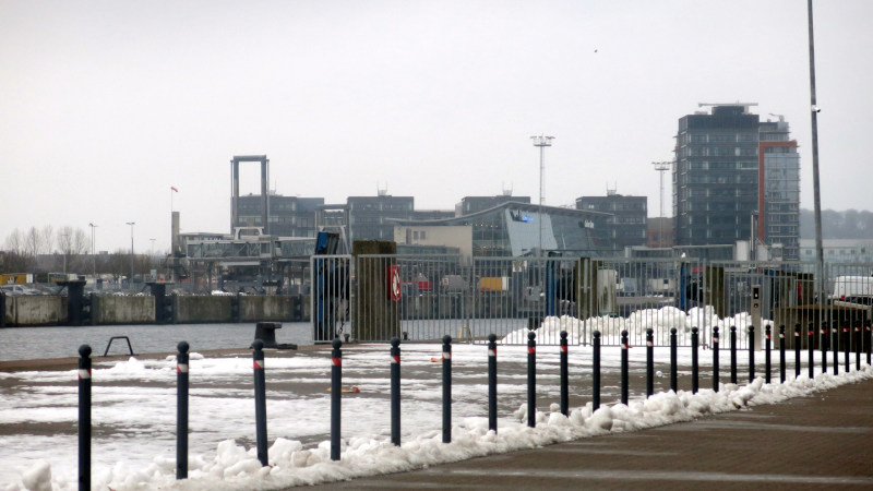 Bringen die großen Schiffe und Fähren Heringe mit? Sartorikai am 08.02.2026