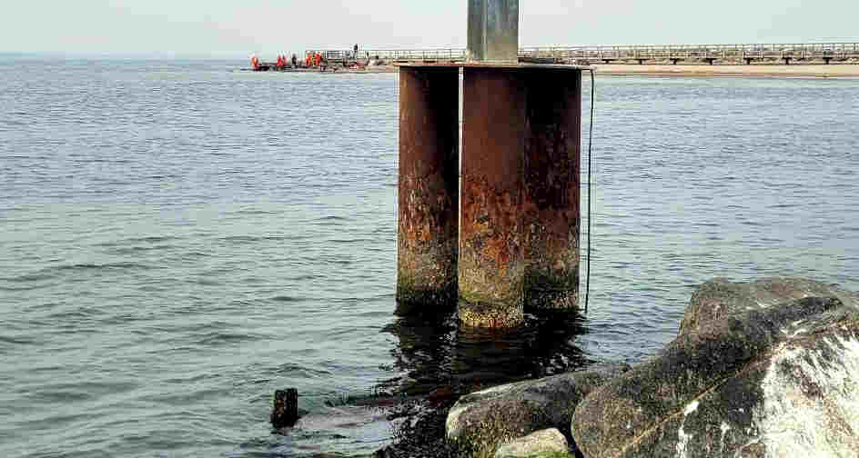 &copy; Köhler hat sich den besten Sehplatz außerhalb der Absperrungen erarbeitet