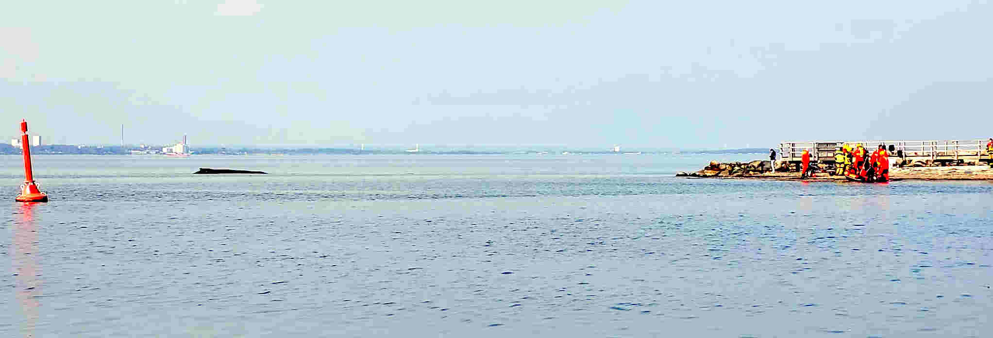 &copy; Köhler kann den gestrandeten Wal in der Nähe der roten Fahrwassertonne sehen