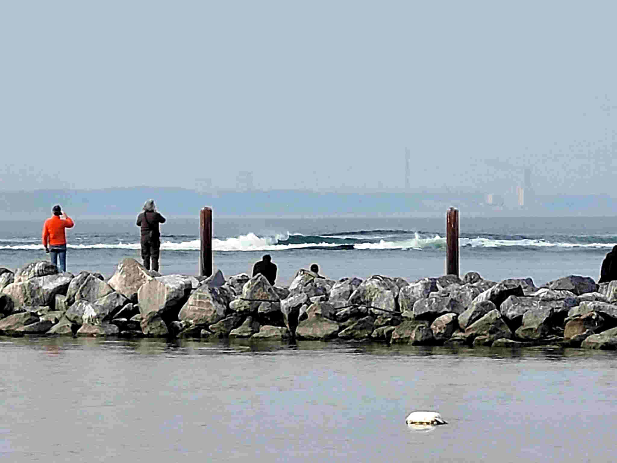 &copy; Köhler Die Küstenwache versuchte Wellen zu erzeugen, die den Wal in das tiefe Wasser spülen sollten