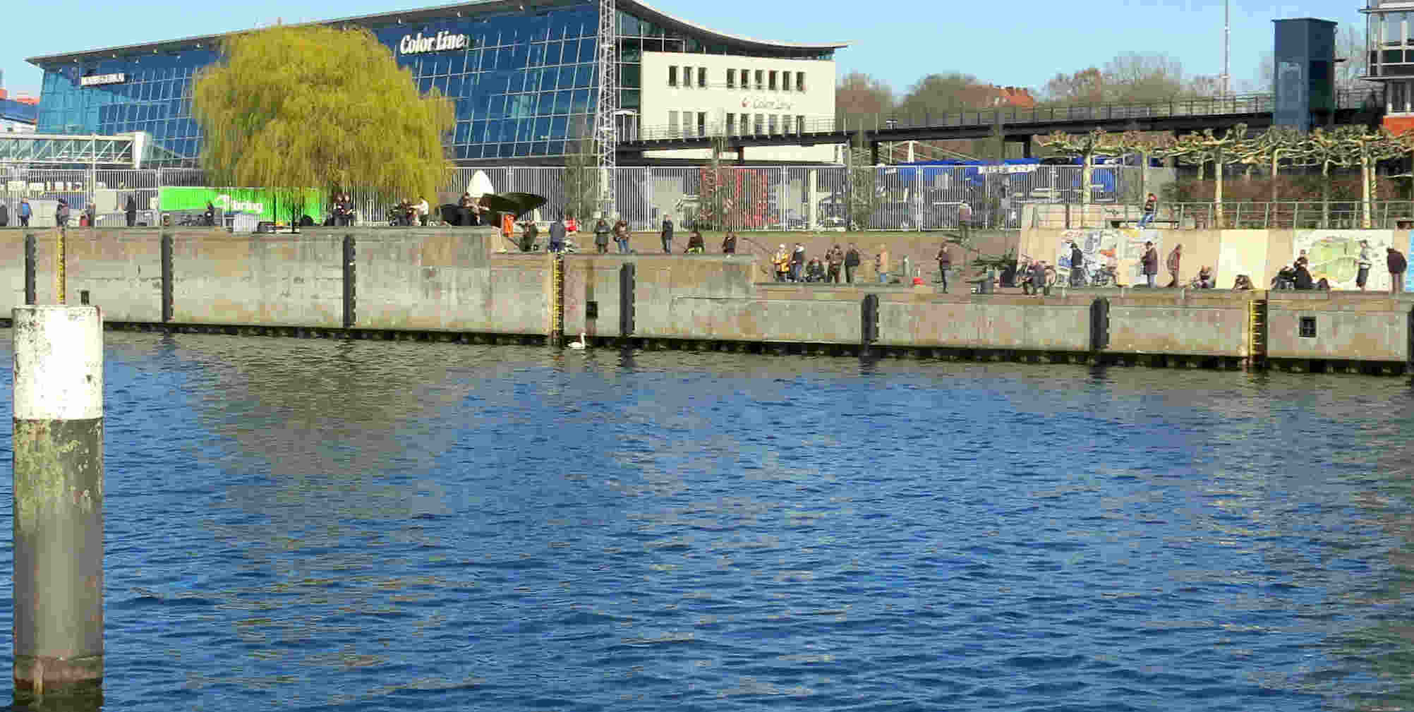 Eindruck vom Heringsangeln an der Schraube in Kiel am 09.04.2026 nachmittags. Sozusagen Full House.