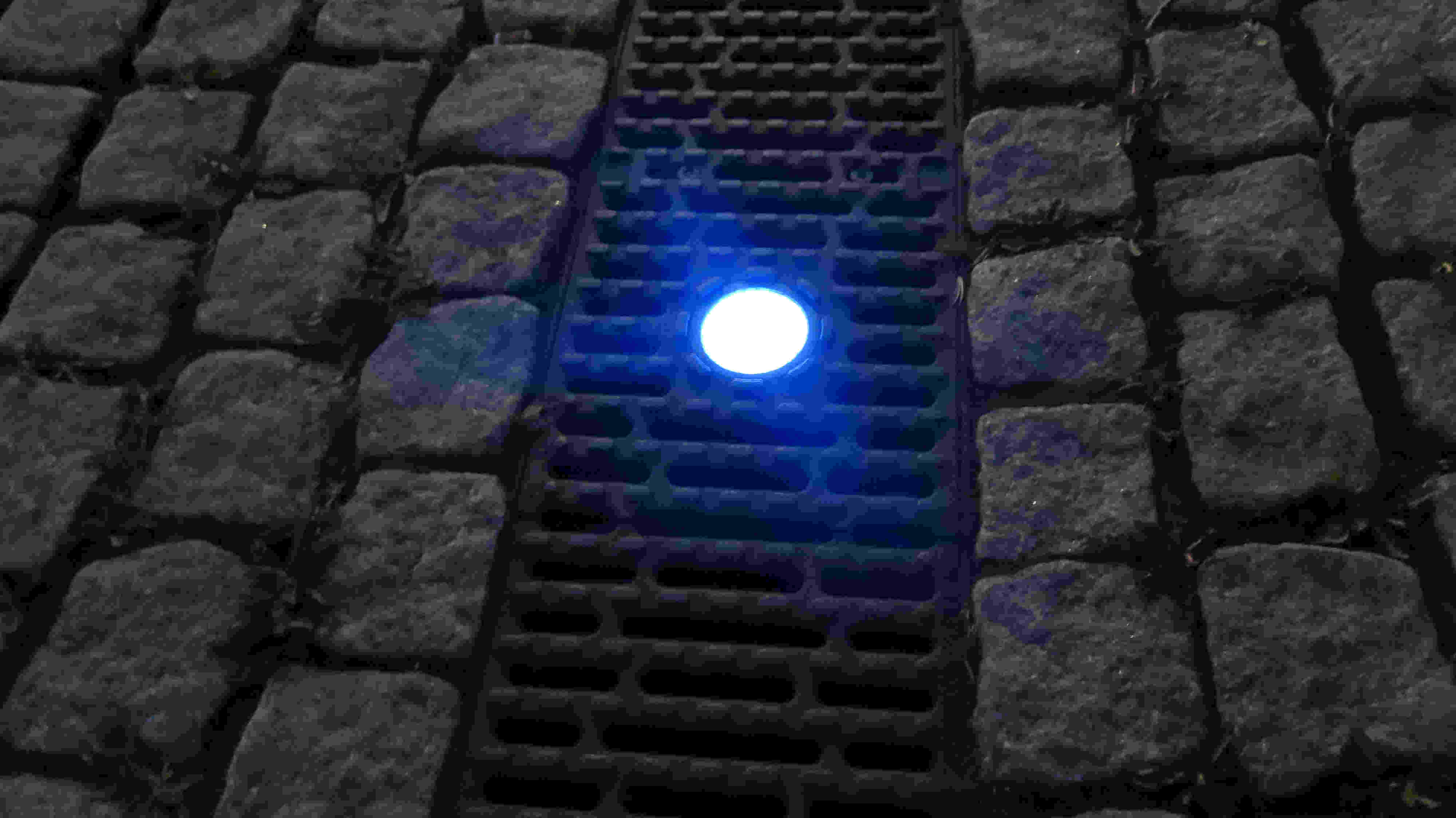 Heringe am 14.04.2026: Im Bereich Stadlers Eck habe ich die blaue Stunde mitgenommen