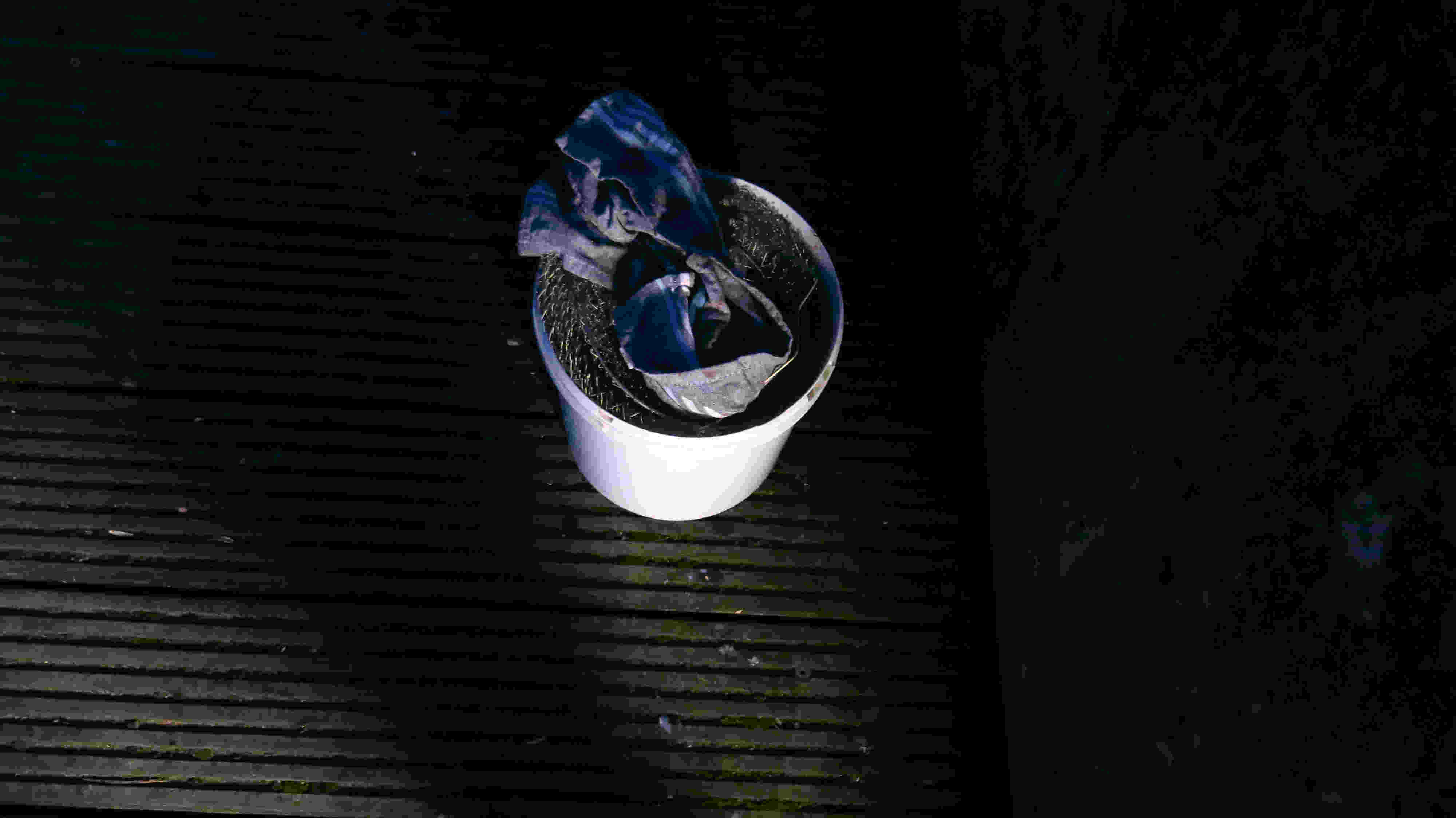 Selbst für mich war der Hering am 14.04.2026 voll da: Voller Eimer mit Heringen und so