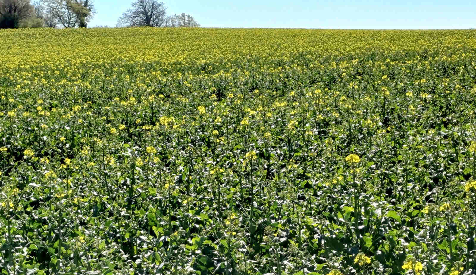 &copy; Günni Raps am 21.04.2026