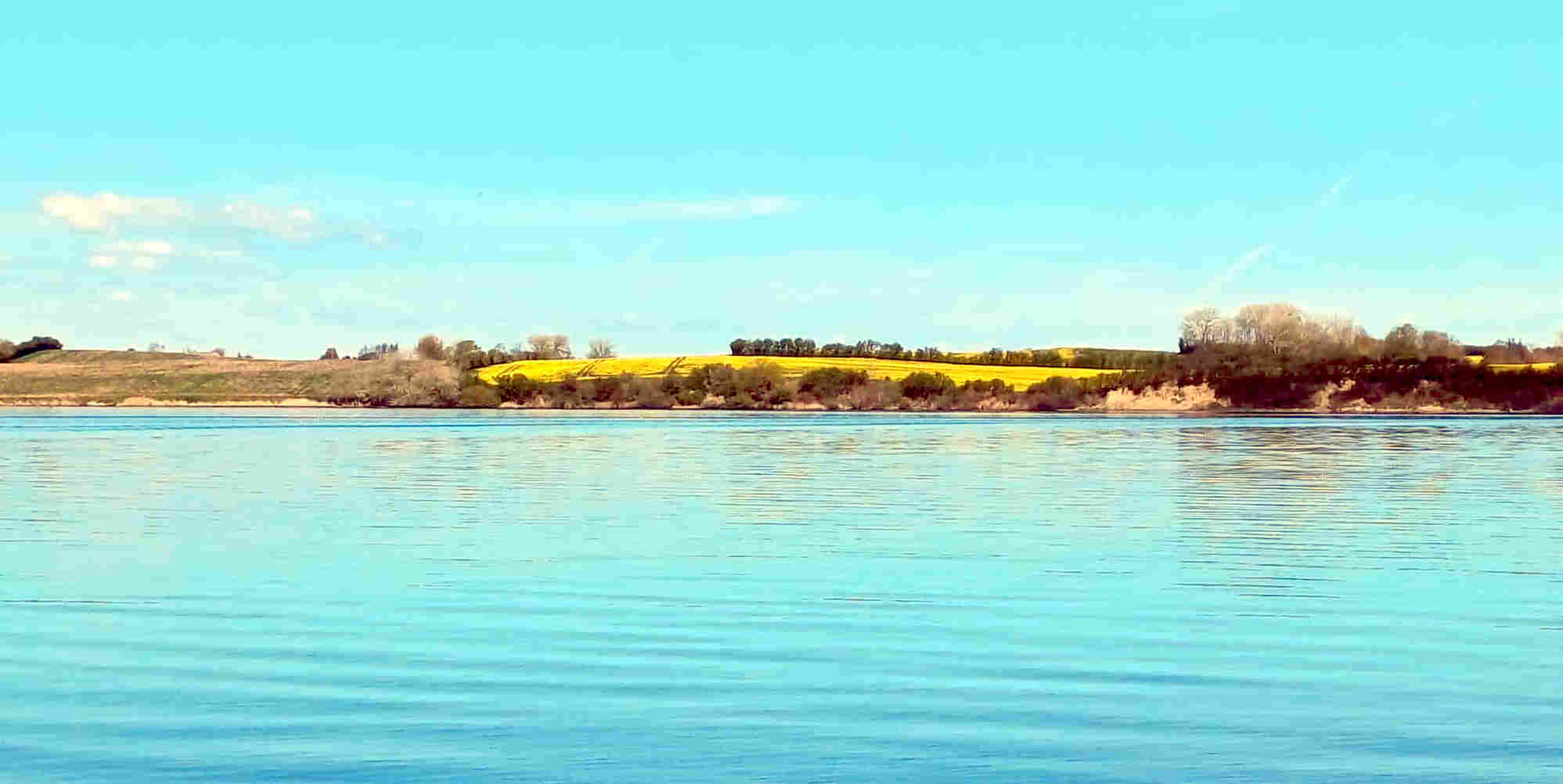 &copy Günni; Hornhechtsituation in Dänemark am 26. April 2026