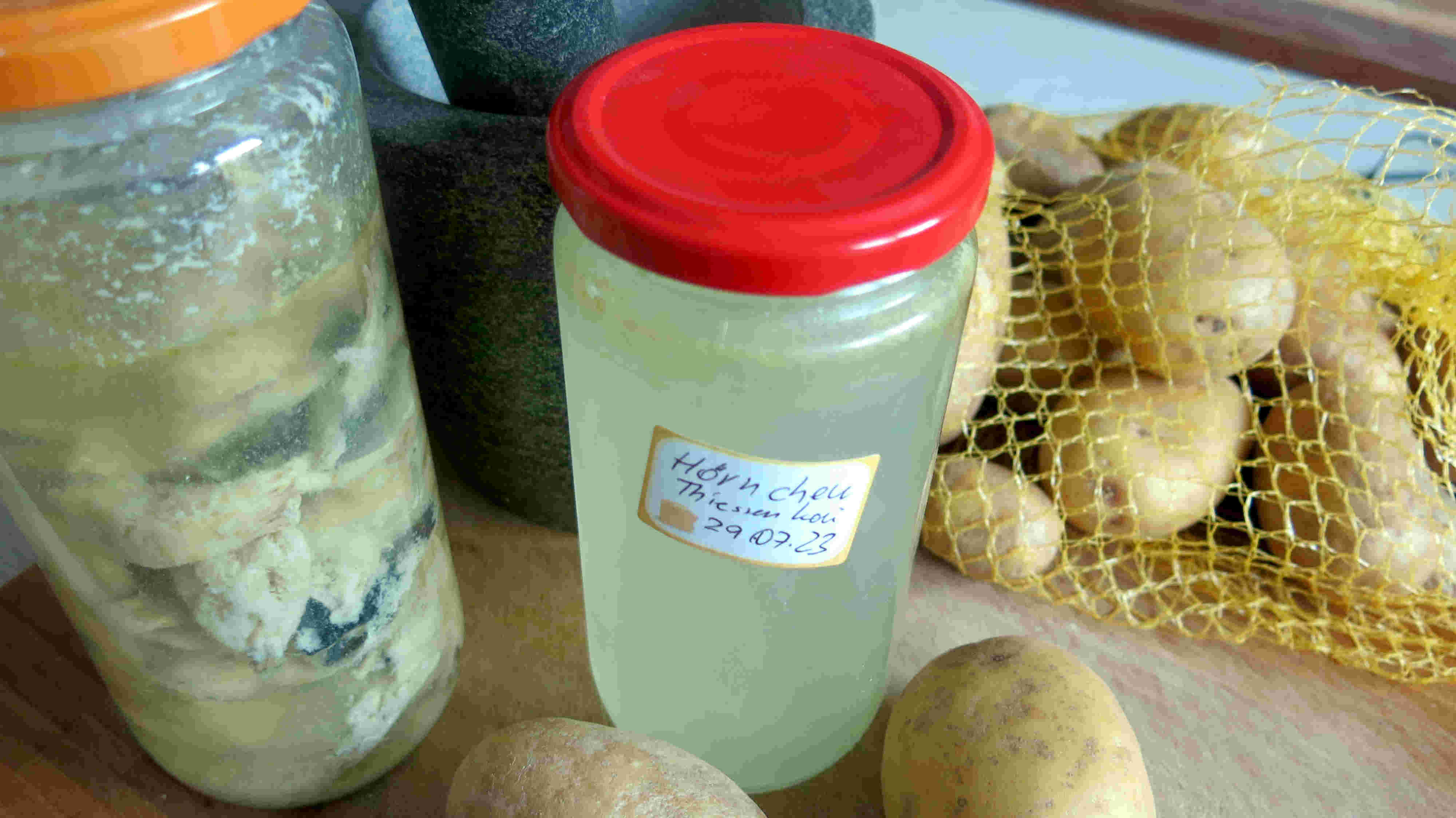 Eingekochte Hornhechtbrühe im Glas in meiner Küche (linkes Glas: konservierte Heringe)