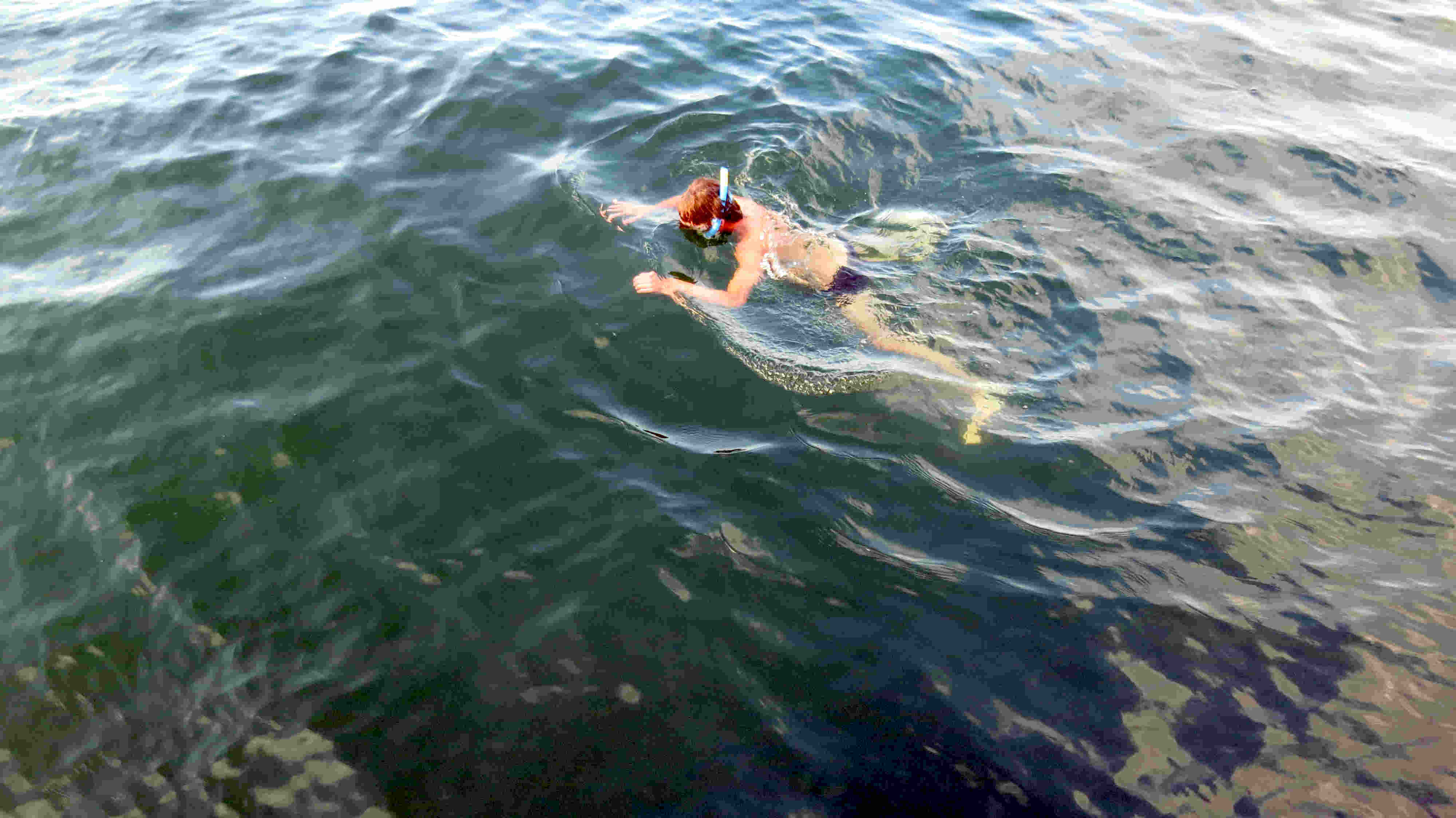 Wasser 12&deg;C Suche nach meinem Setzkescher
