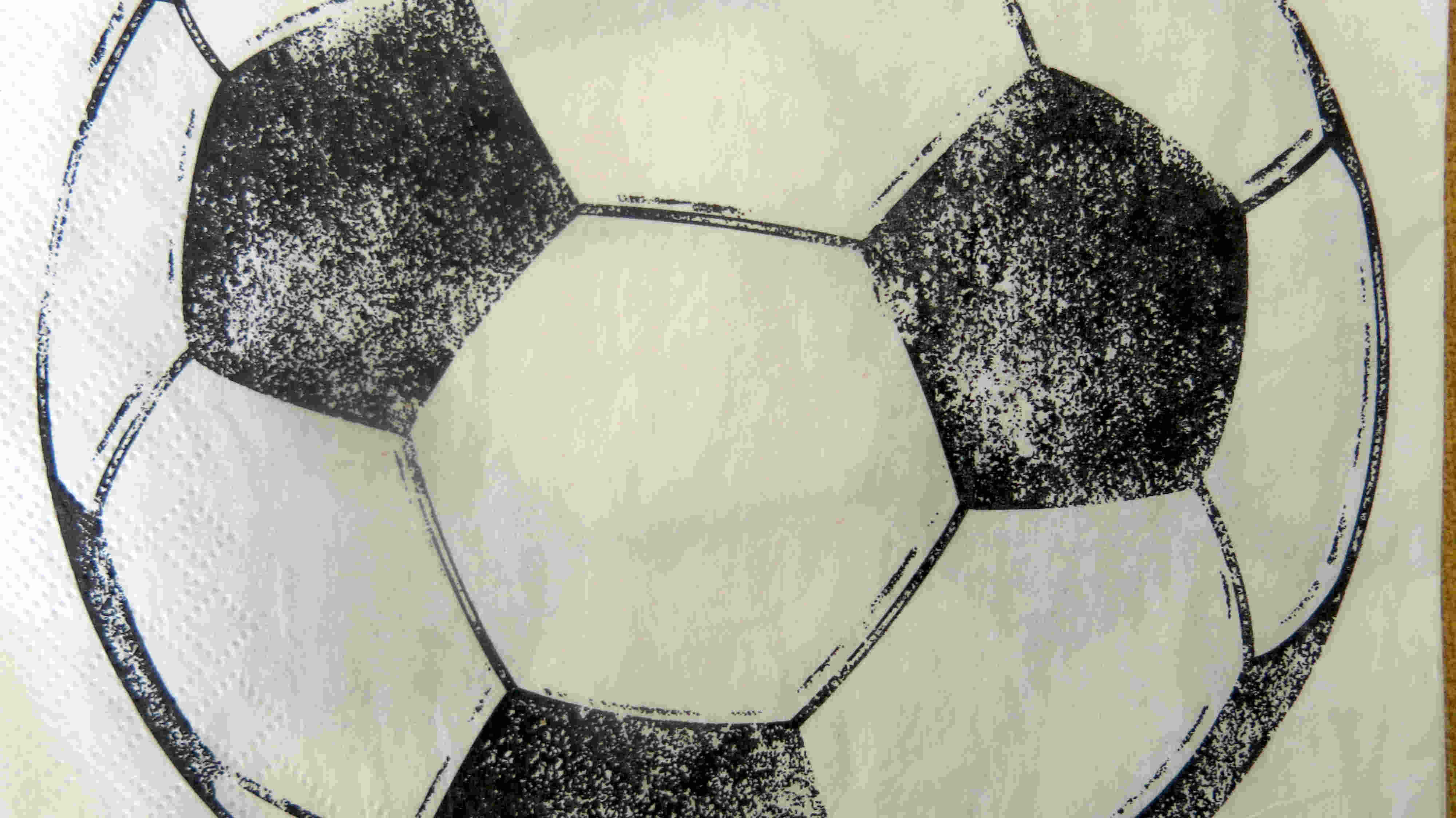 Fussballserviette bei Gesprächen zur Unterstützung  der Aufzucht von Meerforellen
