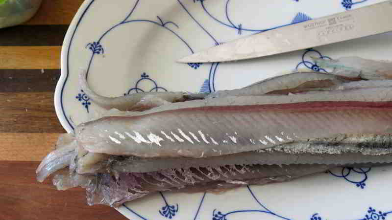 Frische Hornhecht Filets ohne Haut Mitte Mai 2024 gefangen vom Frontmann Günni