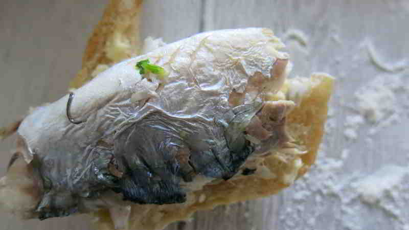 Frisches selbstgemachtes halbes Brötchen mit frisch gebratener Makrele
