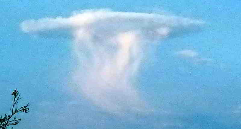 © Günni Statt orangefarben eine weiße Mushroom Cloud. Das macht Hoffnung